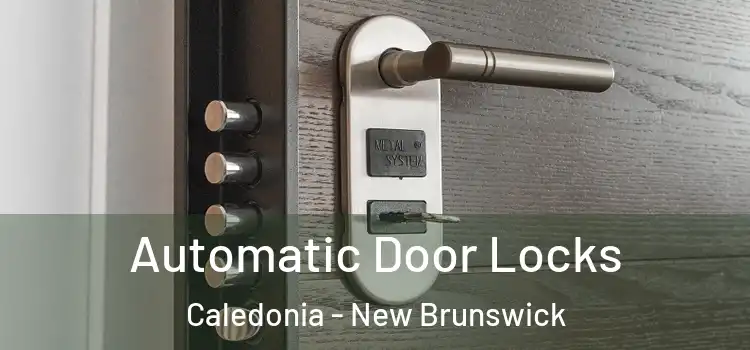 Automatic Door Locks Caledonia - New Brunswick