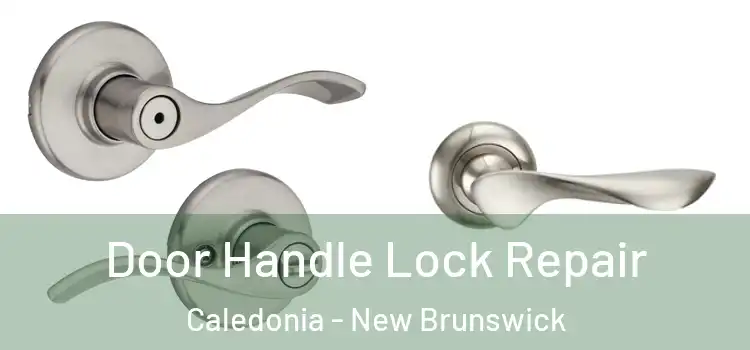 Door Handle Lock Repair Caledonia - New Brunswick