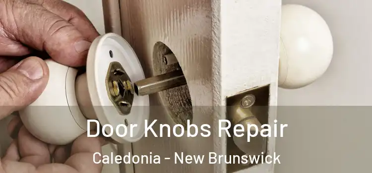 Door Knobs Repair Caledonia - New Brunswick