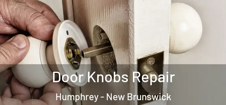 Door Knobs Repair Humphrey - New Brunswick
