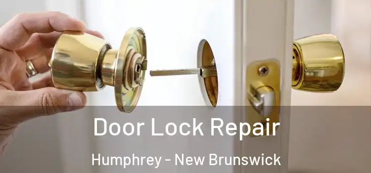 Door Lock Repair Humphrey - New Brunswick