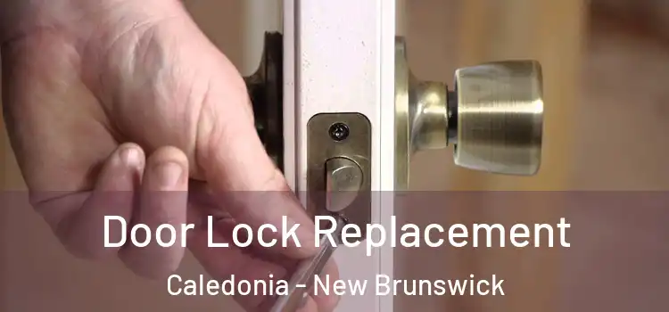 Door Lock Replacement Caledonia - New Brunswick