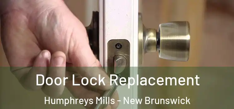 Door Lock Replacement Humphreys Mills - New Brunswick