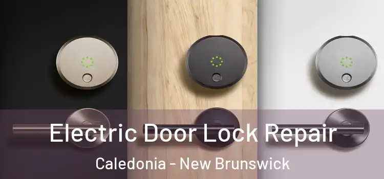 Electric Door Lock Repair Caledonia - New Brunswick