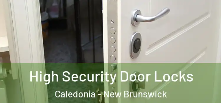 High Security Door Locks Caledonia - New Brunswick