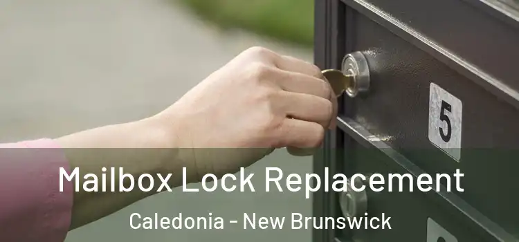 Mailbox Lock Replacement Caledonia - New Brunswick