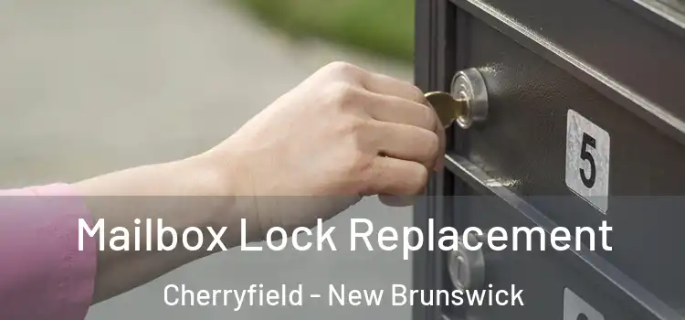Mailbox Lock Replacement Cherryfield - New Brunswick