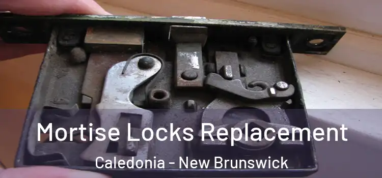 Mortise Locks Replacement Caledonia - New Brunswick
