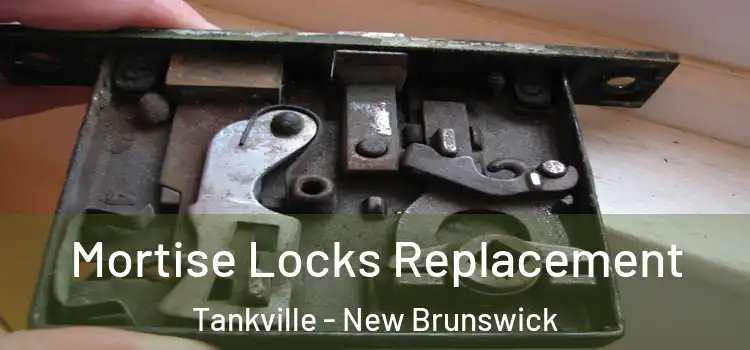 Mortise Locks Replacement Tankville - New Brunswick