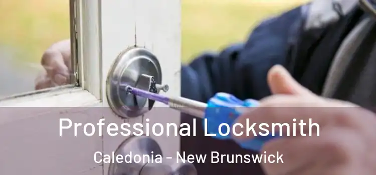 Professional Locksmith Caledonia - New Brunswick