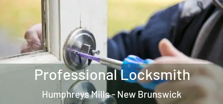 Professional Locksmith Humphreys Mills - New Brunswick