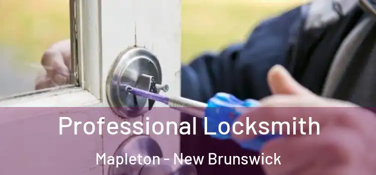 Professional Locksmith Mapleton - New Brunswick