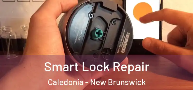 Smart Lock Repair Caledonia - New Brunswick