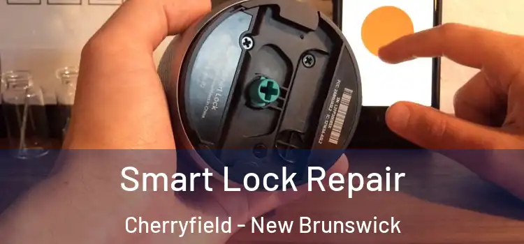 Smart Lock Repair Cherryfield - New Brunswick